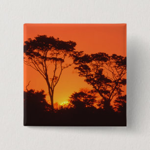 South Africa.  African sunset. 15 Cm Square Badge
