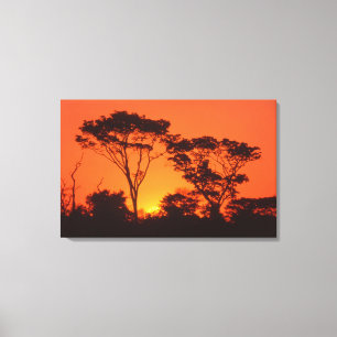 South Africa. African sunset. Canvas Print