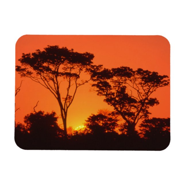 South Africa.  African sunset. Magnet (Horizontal)