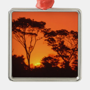 South Africa.  African sunset. Metal Tree Decoration