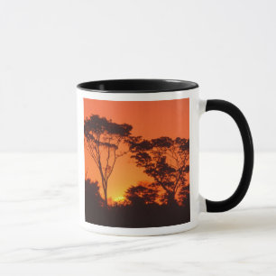 South Africa. African sunset. Mug