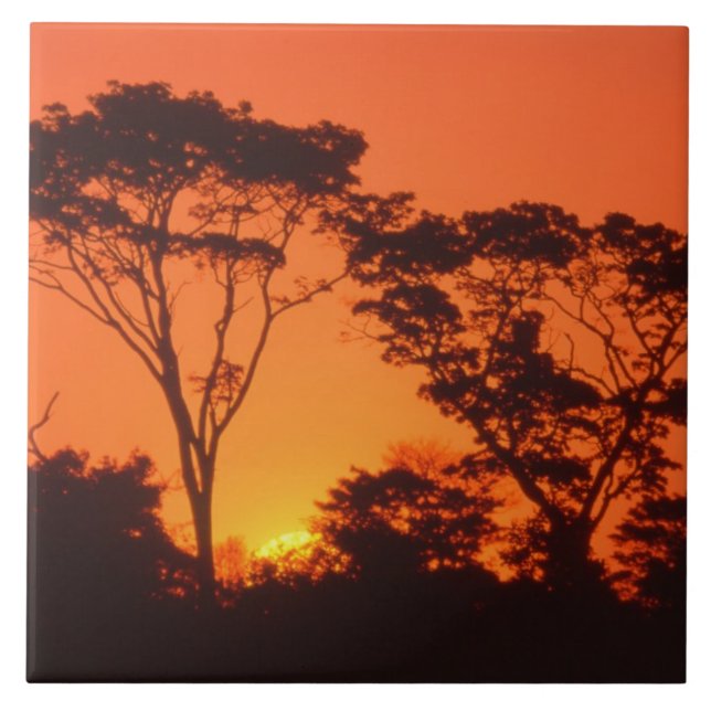 South Africa.  African sunset. Tile (Front)