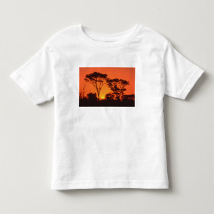 South Africa. African sunset. Toddler T-Shirt