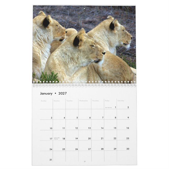 South Africa Calendar (Jan 2027)
