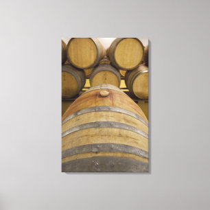 South Africa, Cape Town. Stellenbosch wine area, Canvas Print