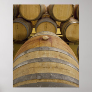 South Africa, Cape Town. Stellenbosch wine area, Poster