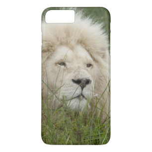 South Africa, East London, Inkwenkwezi Private iPhone 8 Plus/7 Plus Case