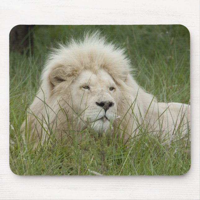 South Africa, East London, Inkwenkwezi Private Mouse Mat (Front)