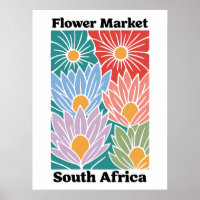South Africa Flower Market Colorful Proteas