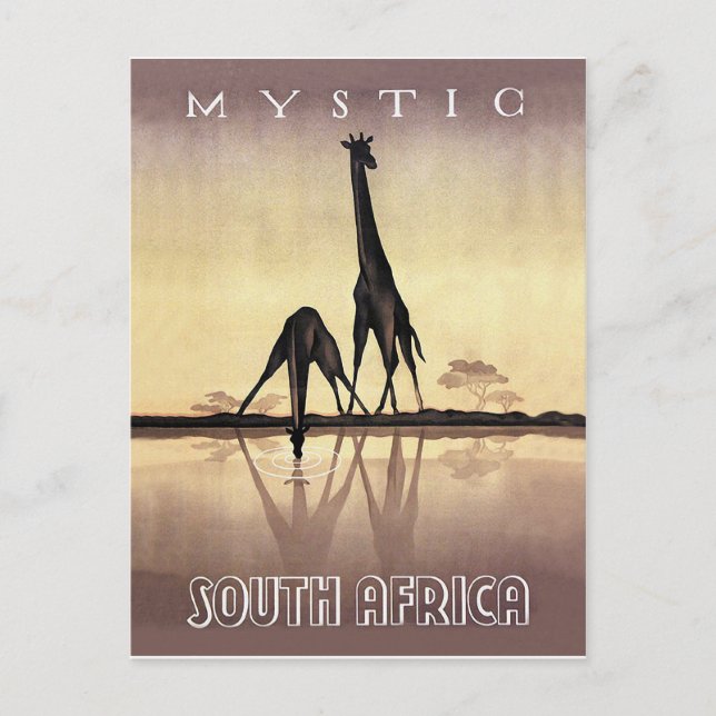 South Africa, Giraffe, vintage travel Postcard (Front)
