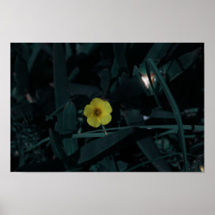 South Africa Green Yellow Indigenous Flowers Poster