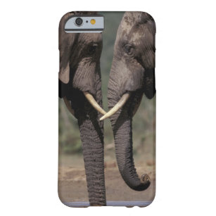 South Africa, Kalahari-Gemsbok NP, Gemsbok at Barely There iPhone 6 Case