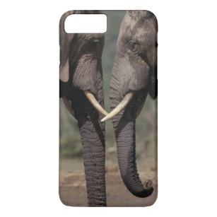 South Africa, Kalahari-Gemsbok NP, Gemsbok at iPhone 8 Plus/7 Plus Case