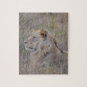 South Africa Lion Puzzle