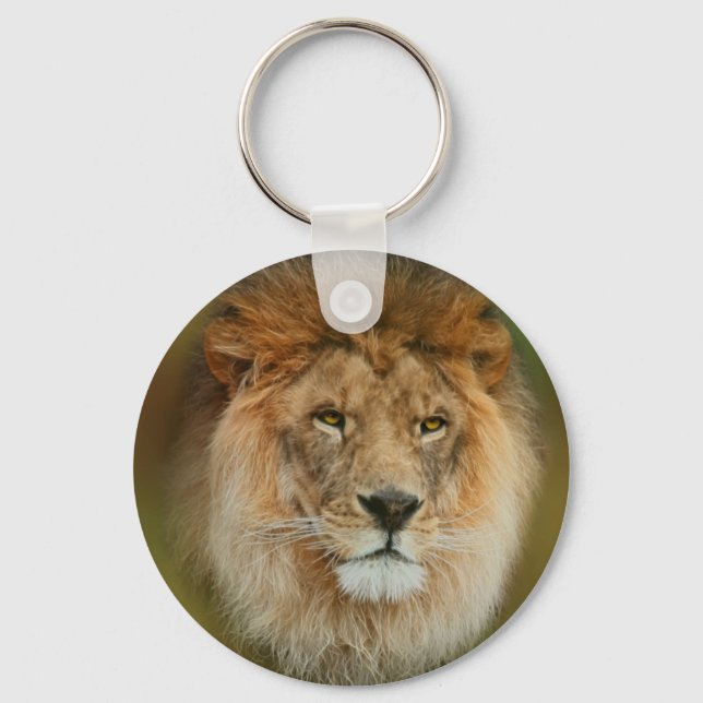 South Africa Majestic Lion Close up Key Ring (Front)