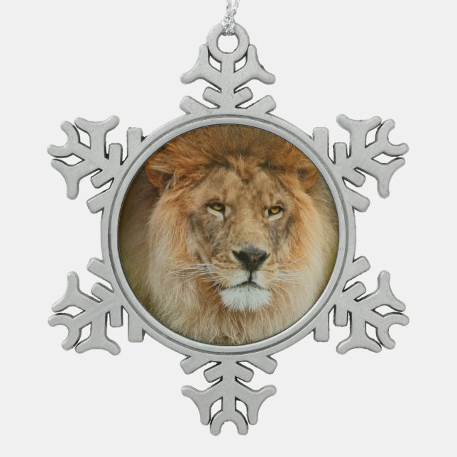 South Africa Majestic Lion Close up Snowflake Pewter Christmas Ornament (Front)