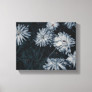 South Africa Pale Green And White Flowers Canvas Print