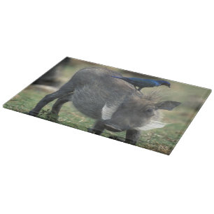 South Africa, Pilanesburg GR, Warthog Cutting Board