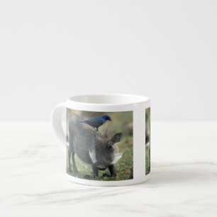 South Africa, Pilanesburg GR, Warthog Espresso Cup