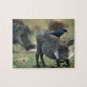 South Africa, Pilanesburg GR, Warthog Jigsaw Puzzle