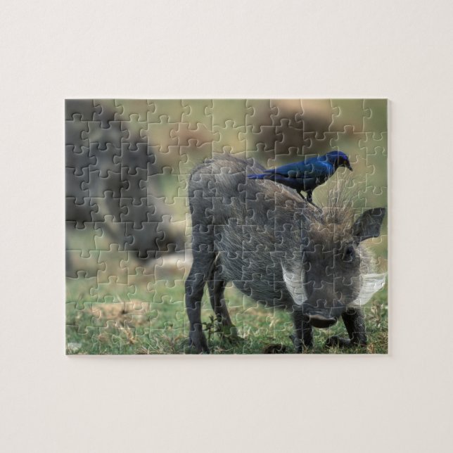 South Africa, Pilanesburg GR, Warthog Jigsaw Puzzle (Horizontal)