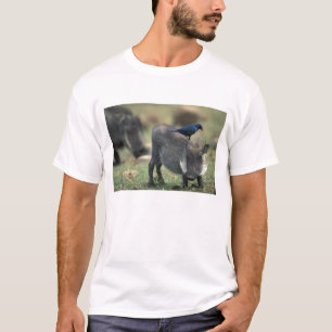 South Africa, Pilanesburg GR, Warthog T-Shirt