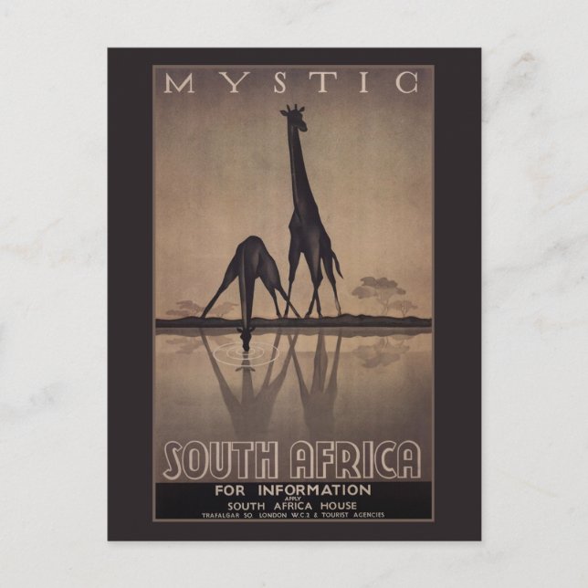 South Africa Postcard (Front)