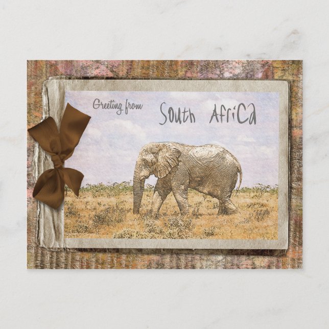 South Africa Postcard (Front)