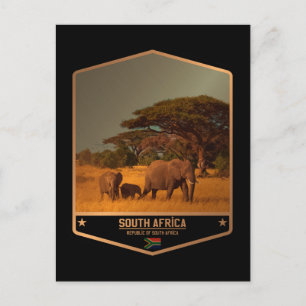 South Africa Postcard