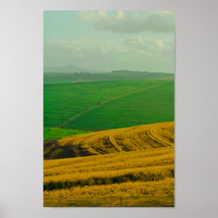 South Africa Rural Landscape Canola Fields Poster