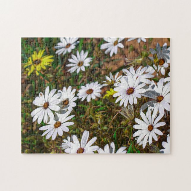 South Africa Velddrif West Coast Wild Flowers Jigsaw Puzzle (Horizontal)