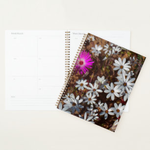 South Africa Velddrif West Coast Wild Flowers Planner