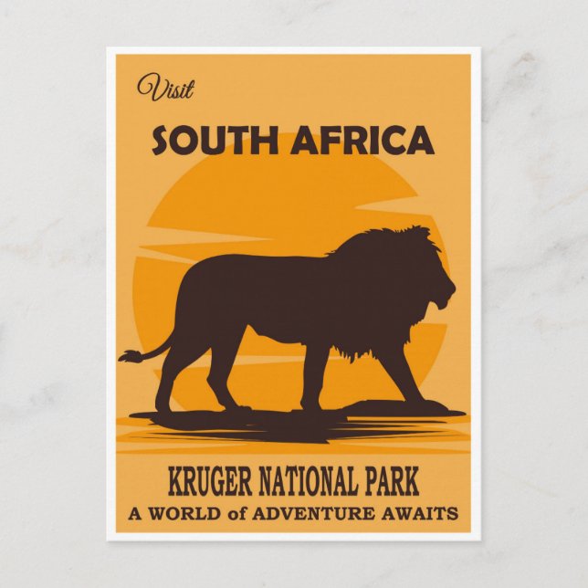 South Africa Vintage National Park Lion Travel Postcard (Front)