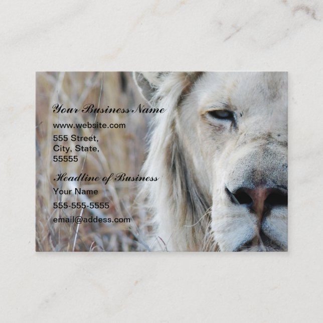 South Africa White Lion resting Business Card (Front)