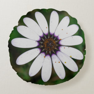 South Africa Wild Namaqualand Flower Petals Round Cushion