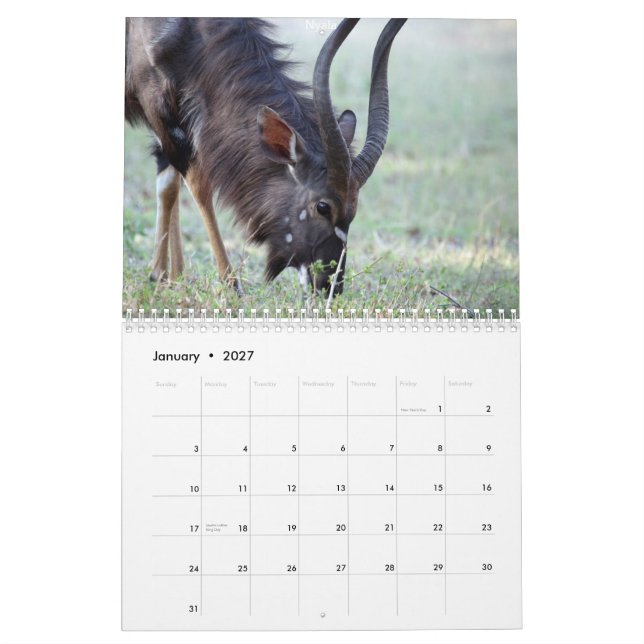 South African Animals Calendar (Jan 2027)