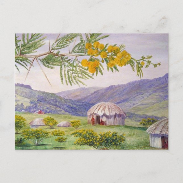 South African Doornboom, Marianne  North Artist Postcard (Front)