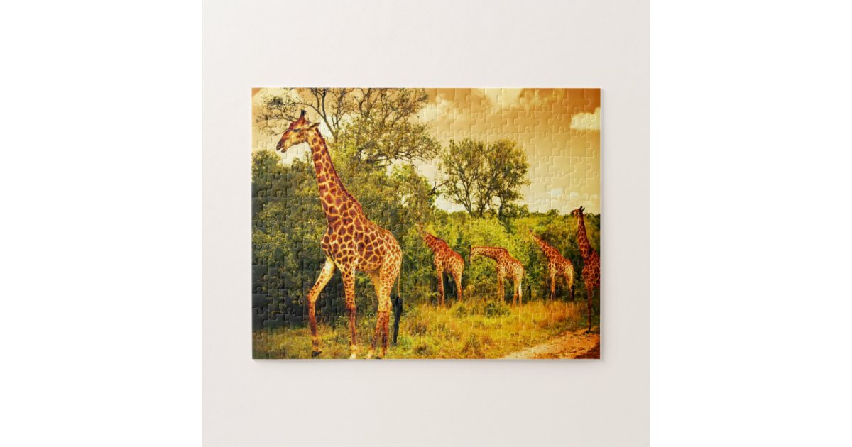 South African giraffes Jigsaw Puzzle Zazzle