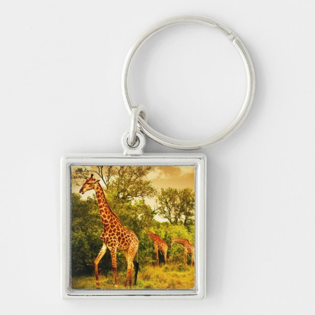 South African giraffes Key Ring (Front)
