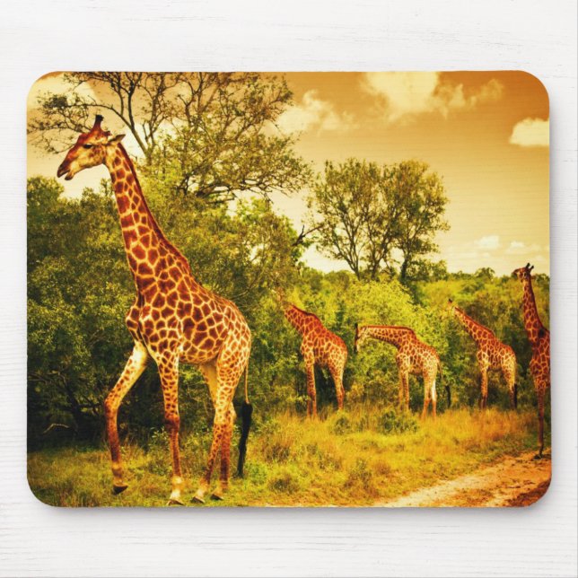 South African giraffes Mouse Mat (Front)