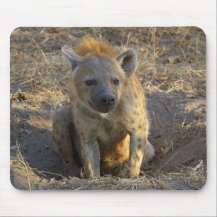 South African Hyena Mouse Mat