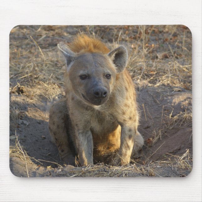 South African Hyena Mouse Mat (Front)