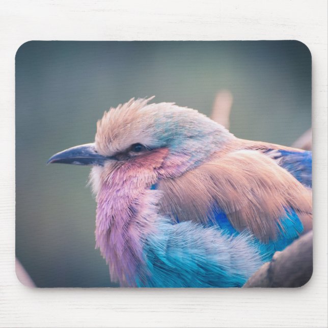 South African Lilac-Breasted Roller Mouse Mat (Front)