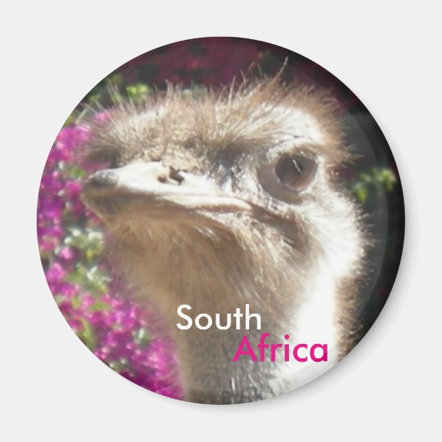 South African Ostrich Customisable Magnet (Front)