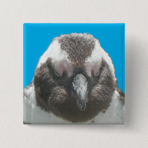 South African Penguin Face Button