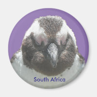 South African Penguin Face Customisable Magnet