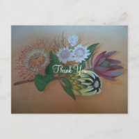 South African Proteas Thank You
