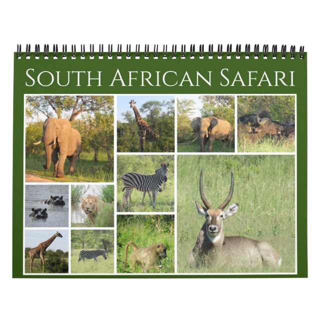 south african safari 2026 calendar (Cover)