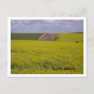 South African scenery Postcard