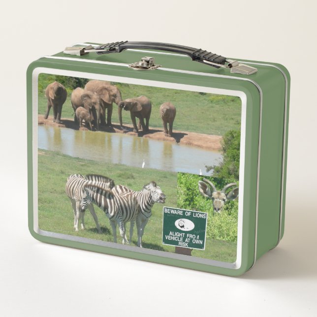 South African Zebras and Lions Lunchbox (Front)